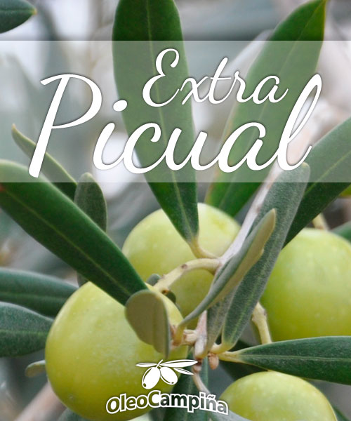 Aceite de Oliva Virgen Extra Picual